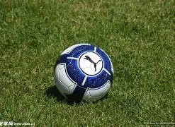 双色奥秘大,揭秘,年双色球,广东体彩,广东体彩网,广东体彩网官网,体育彩票,体彩大乐透,竞彩足球,体彩公益