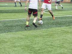 双色球秘籍,期独家红球,码预测,广东体彩,广东体彩网,广东体彩网官网,体育彩票,体彩大乐透,竞彩足球,体彩公益